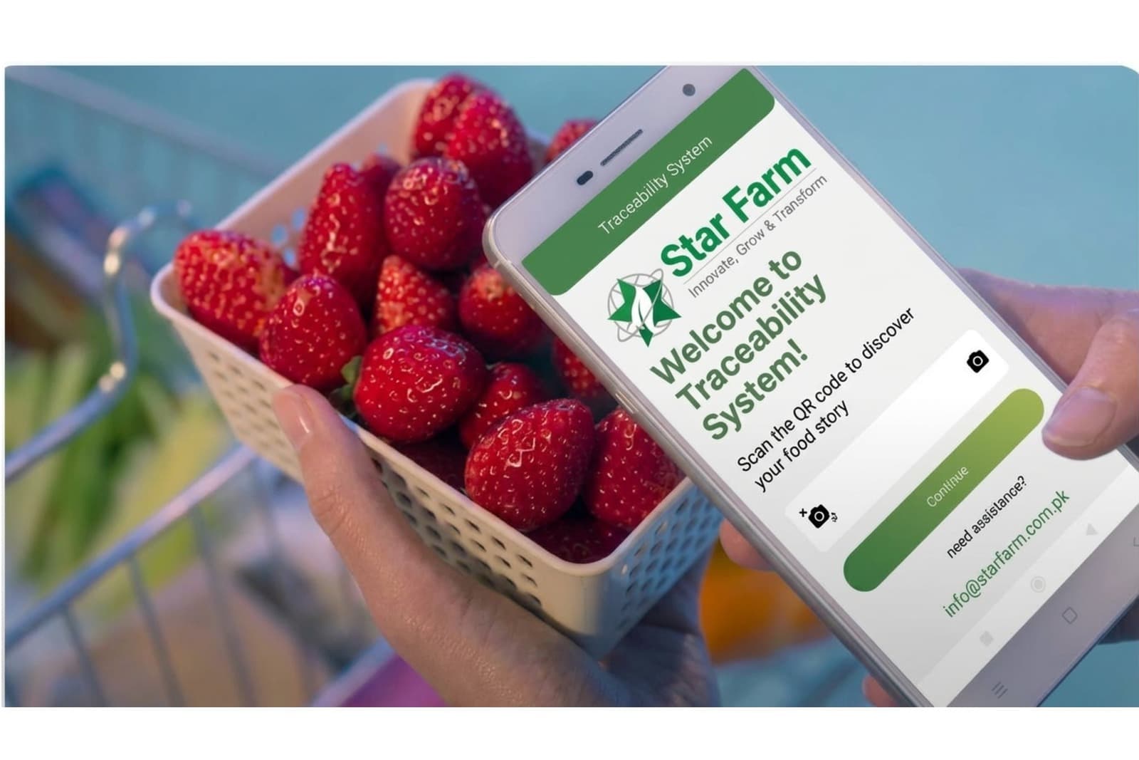 Traceability System Development